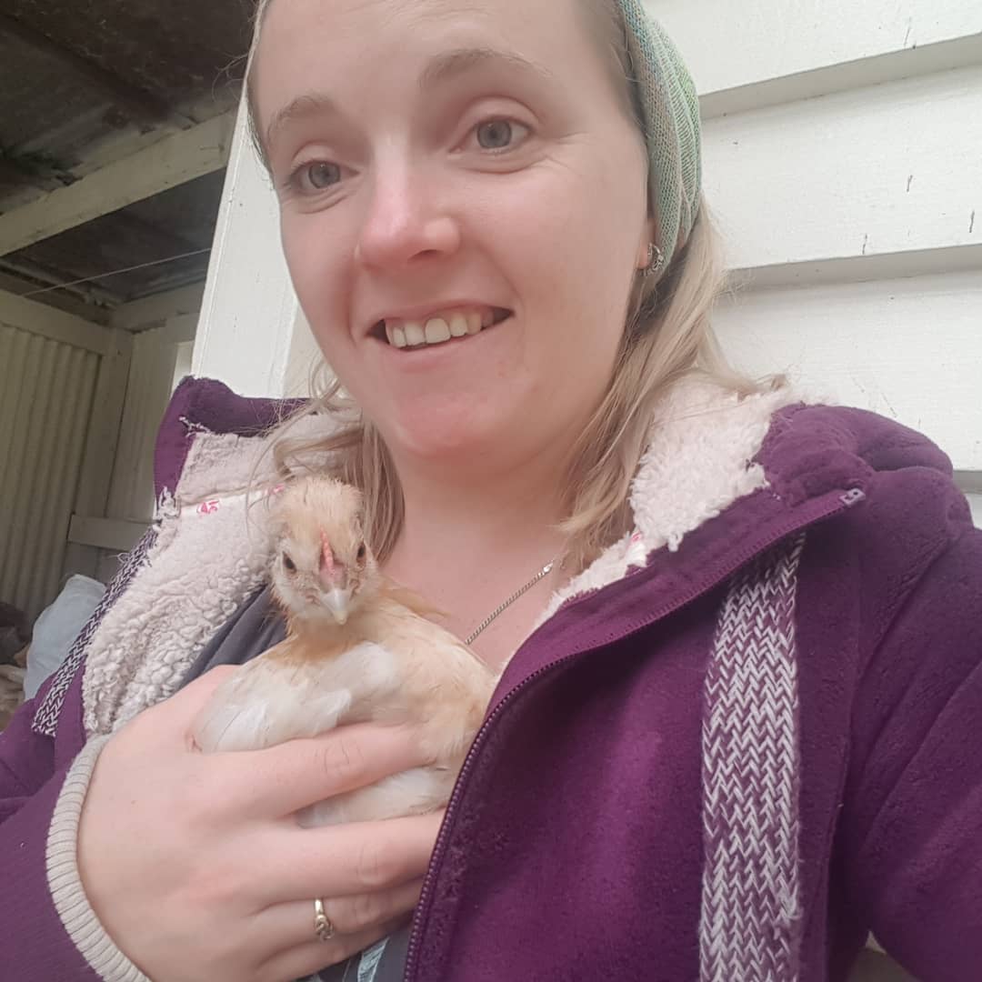 Racheal one of out baby chooks