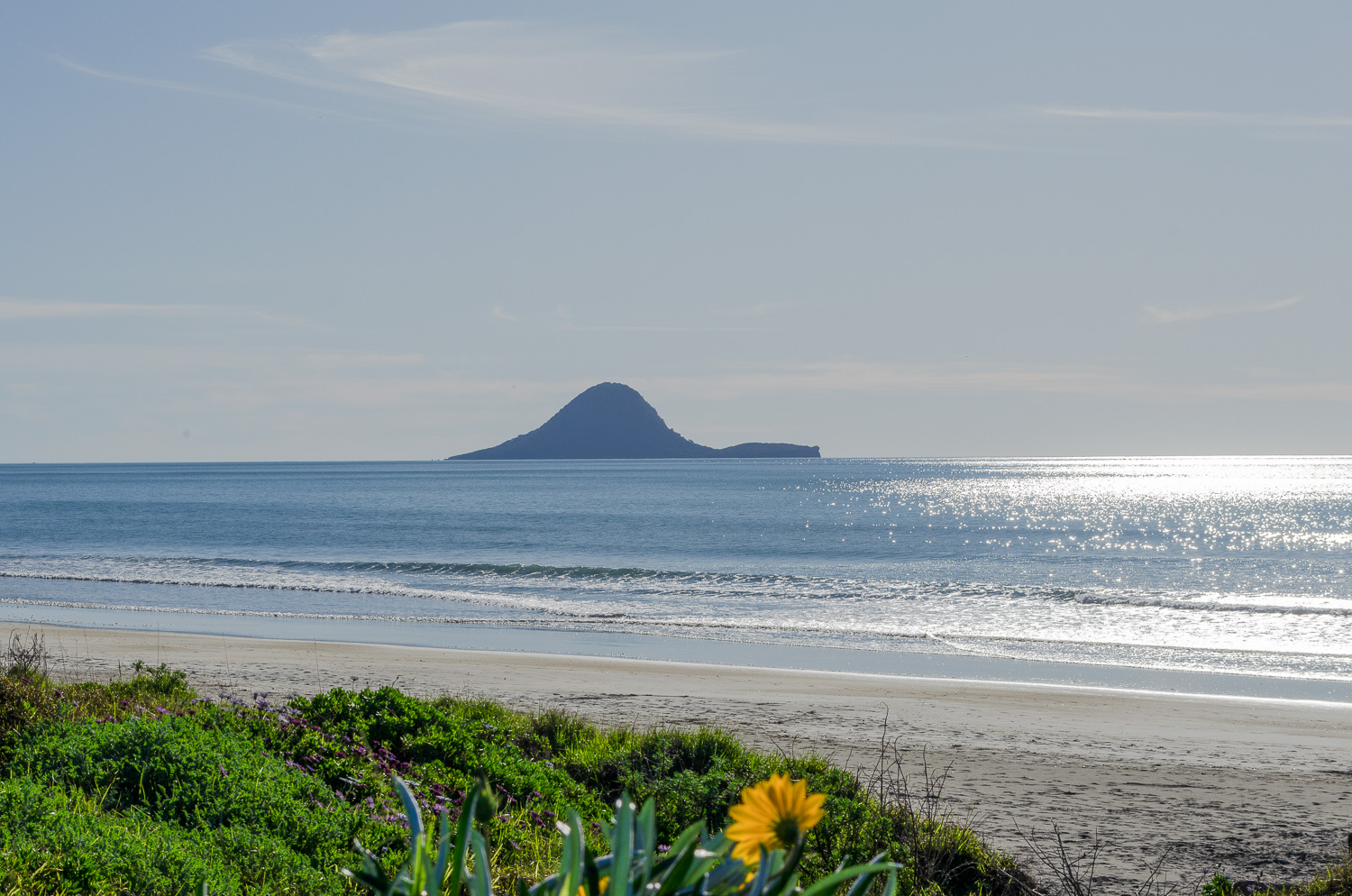 A landscape photograph of Whale Island off the east coast of New Zealand