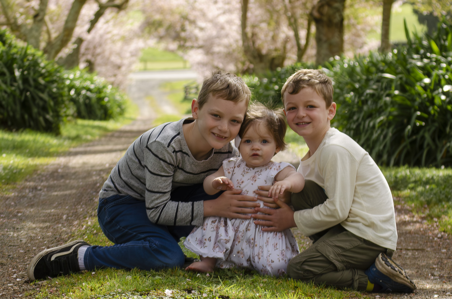 A children's family photography amongst the cherry blossoms. Taken by Te Awamutu, Waikato based photographer, Donna from Donna May Photography.
