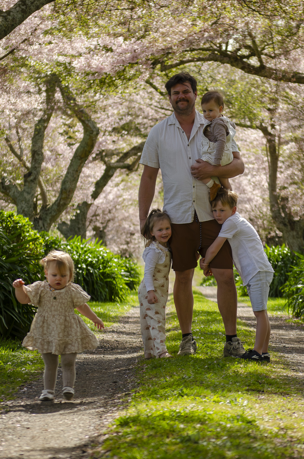 A photograph of a young family amongst the cherry blossom trees. Taken by Te Awamutu, Waikato based photographer, Donna from Donna May Photography.