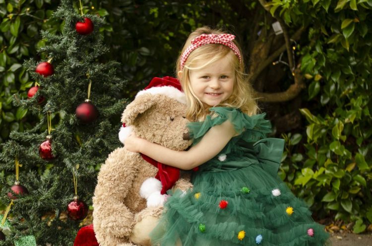 Christmas themed portrait photo of a young girl holding a Christmas bear. Taken by Te Awamutu, Waikato based photographer, Donna from Donna May Photography.