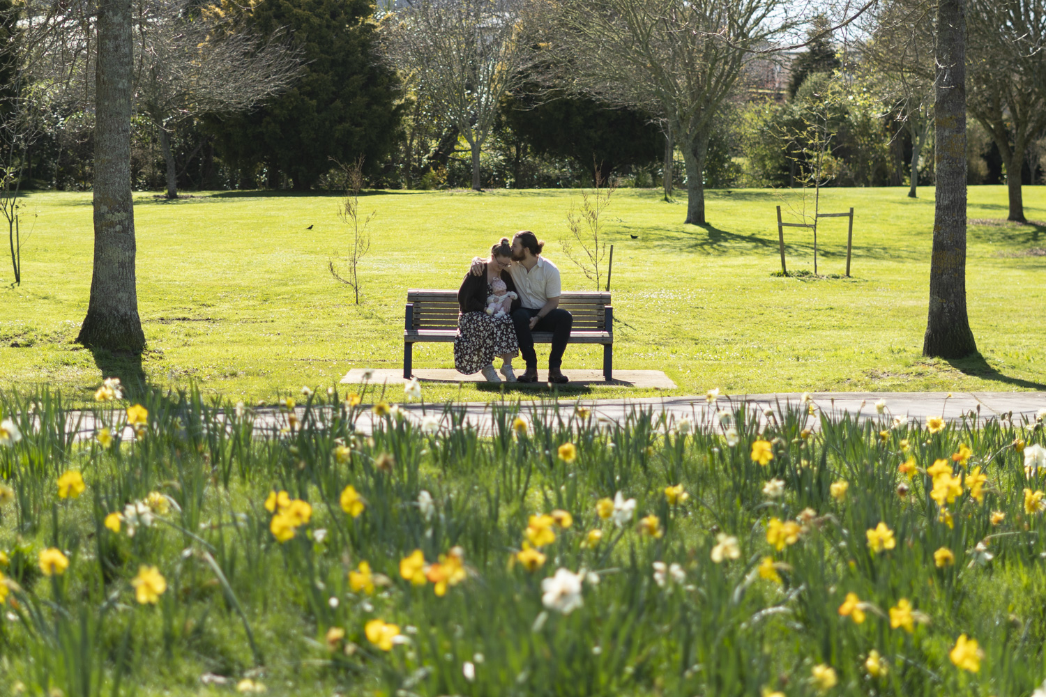 A portrait photo of a young family with a newborn amongst the daffodils. Photo taken by Te Awamutu, Waikato based photographer, Donna from Donna May Photography.