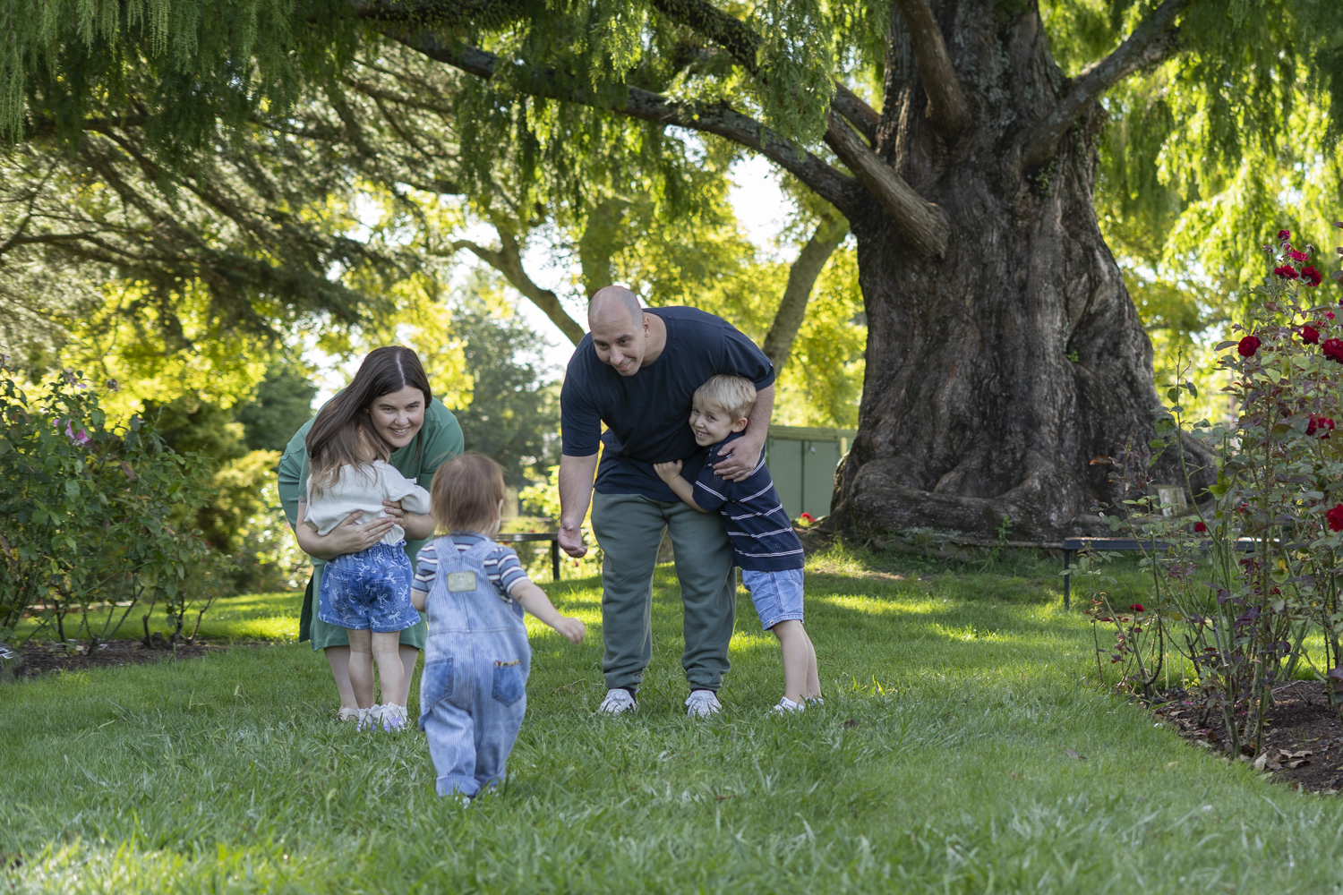 A lifestyle family portrait photo of a young family. Taken by Te Awamutu, Waikato based photographer, Donna from Donna May Photography.