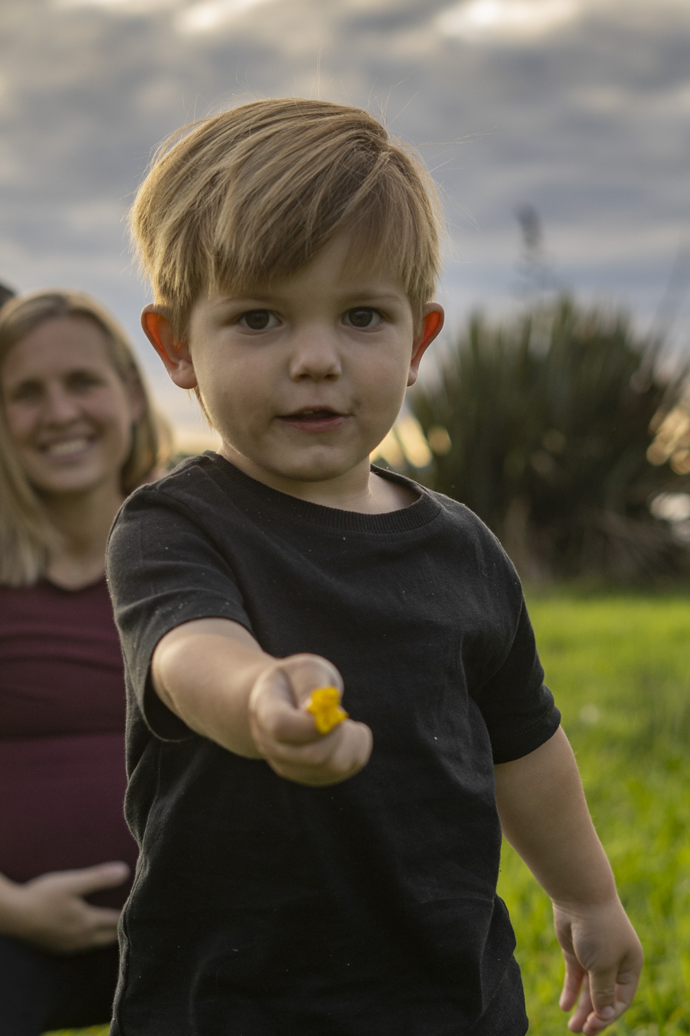 A lifestyle portrait photo of a little boy holding a flower. Taken by Te Awamutu, Waikato based photographer, Donna from Donna May Photography